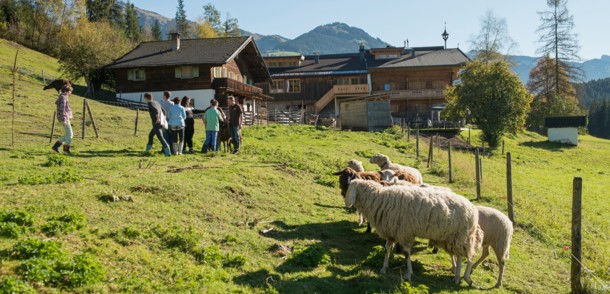     Holidays on the farm / Kitzbühel